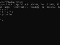 python输出变量运算