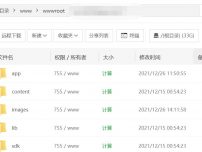 Chevereto图床程序文件压缩包上传至图床网站目录下