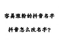 容易涨粉的抖音名字 抖音怎么改名字