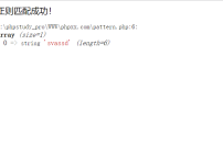 PHP正则表达式+元字符实例代码截图