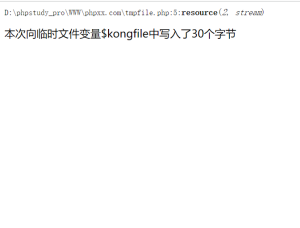 PHP使用tmpfile()函数创建临时文件实例截图