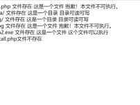 PHP检测文件属性的实例代码块执行截图