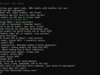 hermes里接入agnes-ai-api